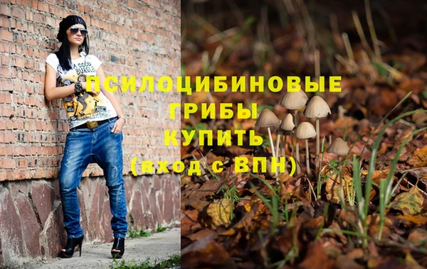 твердый Алзамай