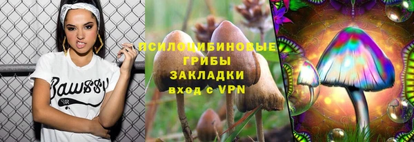 амф Абаза