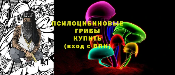 твердый Алзамай