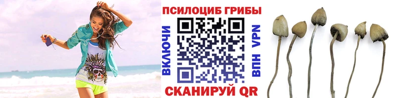 Псилоцибиновые грибы Magic Shrooms  Сарапул 