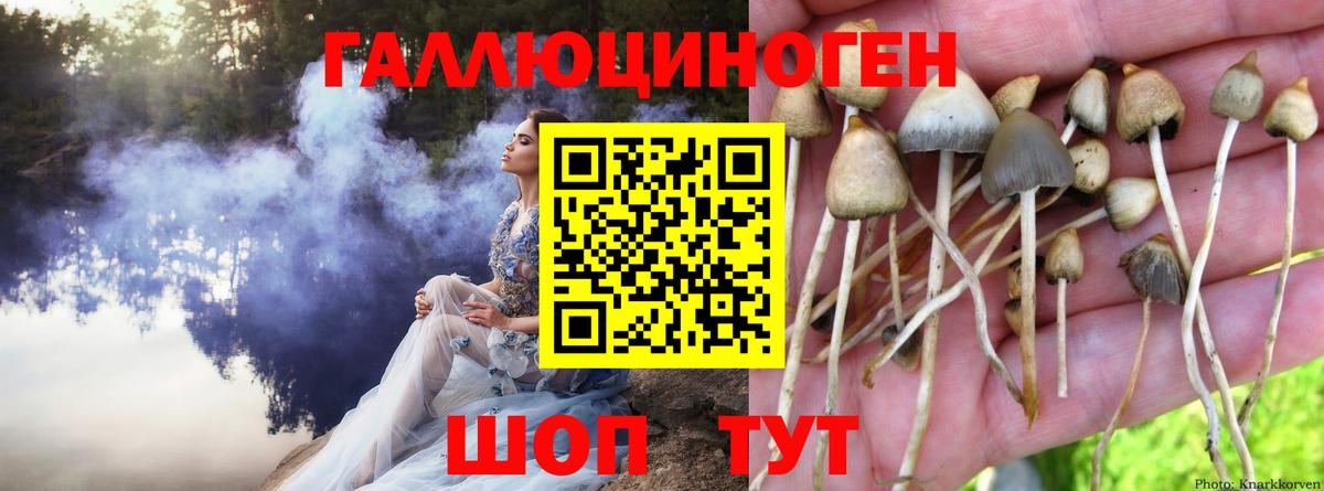 Сарапул  Псилоцибиновые грибы MAGIC MUSHROOMS  Вход с VPN 